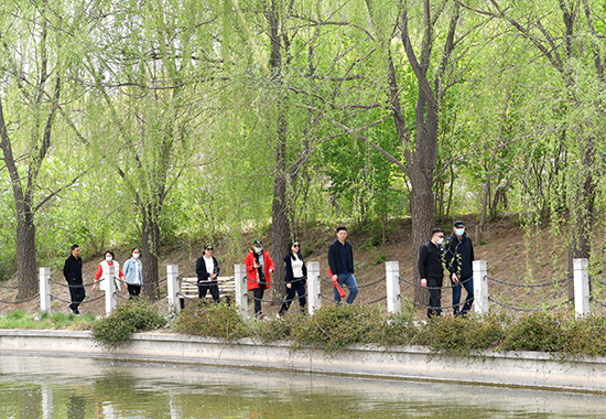 DSC_8378 拷贝.jpg