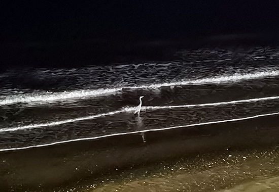 夜景 拷贝.jpg